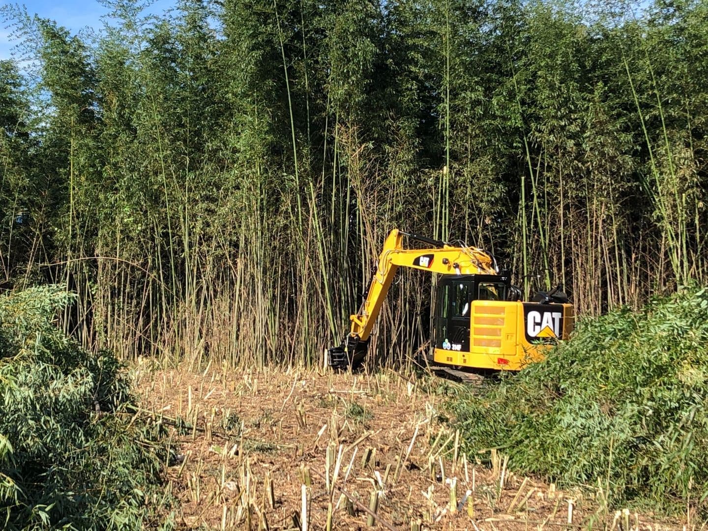 樹木伐採 アタッチメント